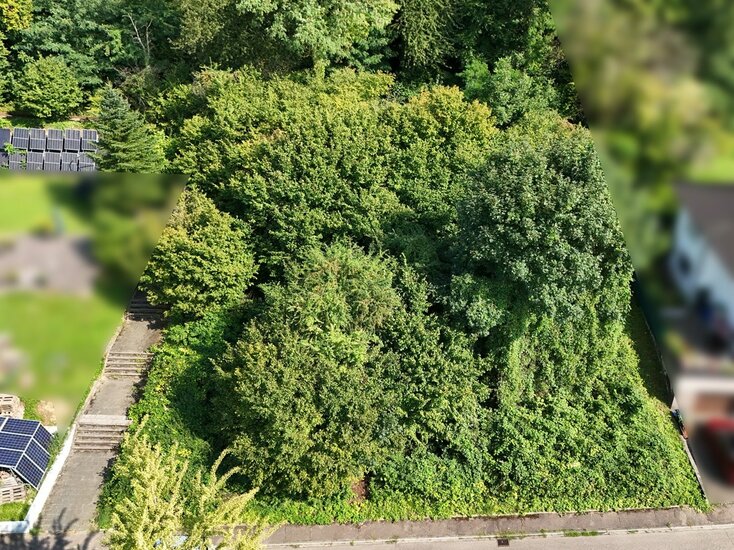 Blick auf das Baugrundstück